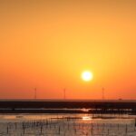 This VPP company wants to rescue the ‘solar orphans’ of Texas pexels-photo-11824632-1.jpg