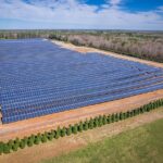 Armed with new batteries and winterized plants, ERCOT survives Fern pexels-photo-15751138-2.jpg