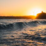 This VPP company wants to rescue the ‘solar orphans’ of Texas pexels-photo-20063015.jpg