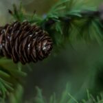 Texas on track to lead nation in energy storage, report finds pexels-photo-219778.jpg