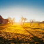 Texas on track to lead nation in energy storage, report finds pexels-photo-259857.jpg