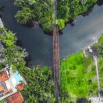 Don’t Tell Donald Trump, but Texas Is Deep Into Wind and Solar Power pexels-photo-29101170.jpg