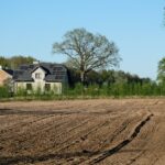 Texas leads nation in solar power installation, report finds pexels-photo-32212438.jpg