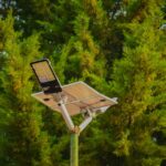 Don’t Tell Donald Trump, but Texas Is Deep Into Wind and Solar Power pexels-photo-32915849.jpg