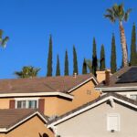 pexels-photo-18687105-1.jpg
