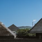 pexels-photo-33554195.jpg