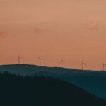 pexels-photo-17452703.jpg