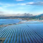 pexels-photo-35105444-1.jpg