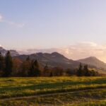 pexels-photo-414805.jpg